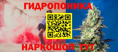 трава Будённовск