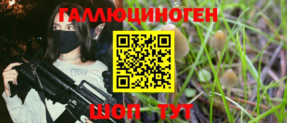 Галлюциногенные грибы Psilocybe  Вход с VPN  Находка 