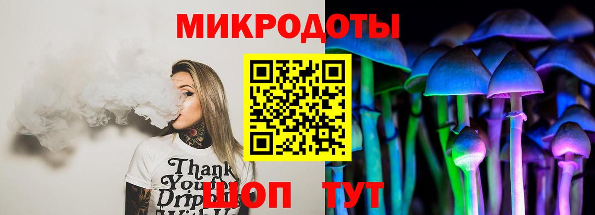 Галлюциногенные грибы Psilocybine cubensis Находка